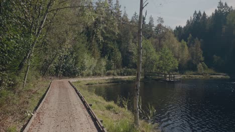 POV-Walking-on-Wooden-Path-By-Kypesjön-Lake-in-Borås-Sweden---Wide-Shot-Tracking-Forward