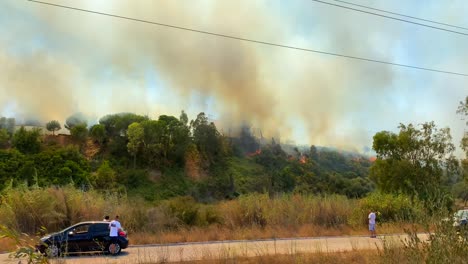 Große-Gefährliche-Feuer--Und-Rauchwolken-In-Der-Region-Andalusien-In-Spanien,-Windiges-Wetter,-Brennende-Bäume-Und-Häuser-In-Estepona-Marbella,-Statische-4K-Aufnahme
