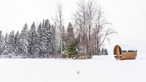 thermowood-sauna-alone-in-white-winter-landscape