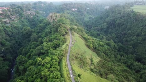 Campuhan-Ridge-Walk-Bali-Ubud-Hiking-Trail-Hilltop-Aerial-Drone
