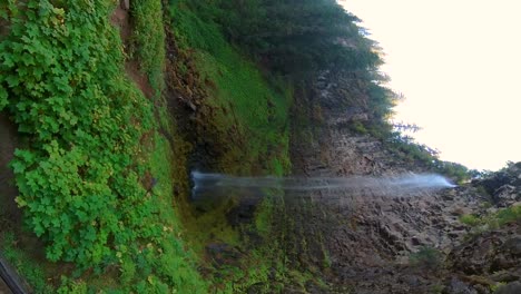 Dolly-Aufstieg-Aus-Der-Vegetation-Rund-Um-Einen-Oregon-Wasserfall