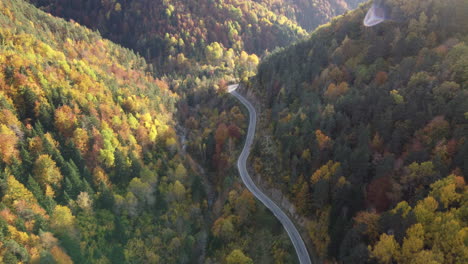 Aerial-footage-over-pyrenees-mountain-forest-in-autumn-in-north-Spain-during-beautiful-sunset-folowing-scenic-road