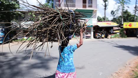 Slow-Motion-Shot-Of-Local-Strong-Old-Woman-Walking-With-Her-Dog-In-Street-Holding-Above-Her-Head-Bundle-Of-Twigs,-Mirissa-Sri-Lanka