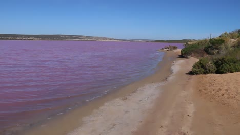 Hutt-Lagoon-Pink-Lake,-Kalbarri,-Western-Australia---Salt-Lake