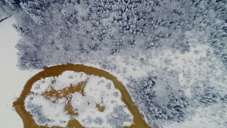 Aerial-top-down-shot-of-yellow-colored-lake-surrounded-by-white-snow-covered-forest-trees-and-landscape