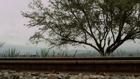 Railroads-in-the-center-of-the-agave-valleys-of-Tequila-Jalisco,-Mexico