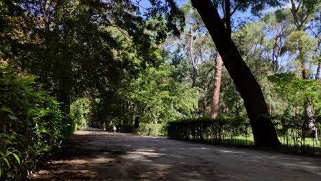 Timelapse-of-people-walking-covered-by-shadow-from-the-trees,-and-bushes-around-at-Retiro-Park,-Madird