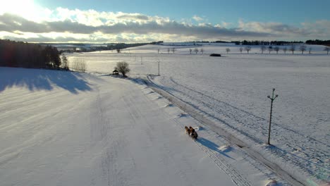 Pferde-Ziehen-Einen-Schlitten-Mit-Reitern-über-Eine-Winterlich-Verschneite-Ländliche-Landschaft-Bei-Einem-Dramatischen-Sonnenuntergang