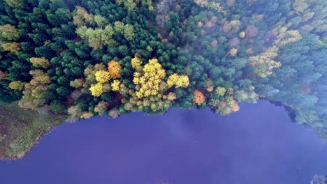 Aerial-top-down-shot-of-flying-clouds-over-colorful-treetops-and-tranquil-lake-in-autumn