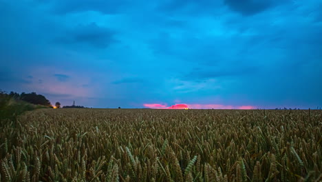 Time-lapse-of-flashing-lightning-strikes-of-thunderstorm-over-yellow-Wheat-Field-in-Countryside