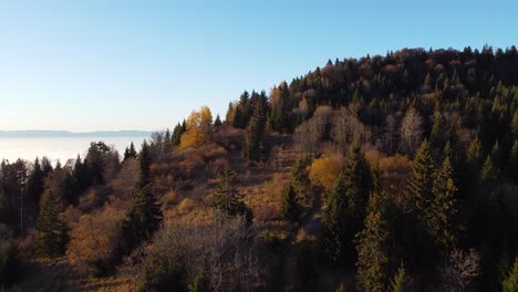 Drone-Shot-of-a-Mountain-Covered-in-a-Colourful-Forest-in-the-Autumn