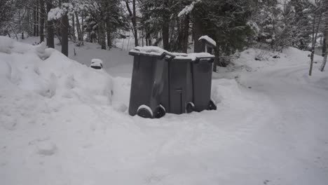 Schwarze,-Mit-Schnee-Bedeckte-Mülltonnen-Mit-Rädern-Und-Kiefern-Im-Hintergrund-Im-Winter