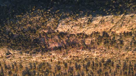 Topdown-view-along-Jarvis-hill-Landscape,-Rocky-forested-cliff,-South-Australia