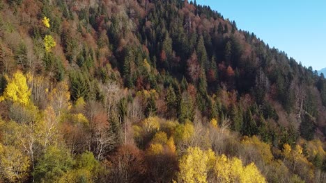 Drone-Shot-of-a-Colourful-Autumn-Mountain-side-covered-in-Forest