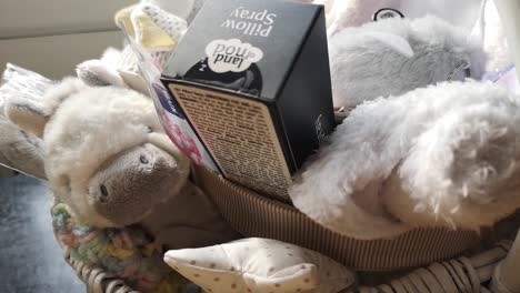 Mother-and-baby-shower-gift-basket-with-fluffy-plush-zebra-and-parenting-accessories
