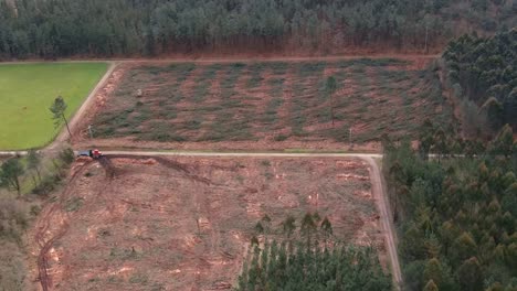 Aerial-Over-Plot-Of-Land-With-Felled-Pine-Trees-In-Spain
