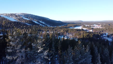 Luftflug-über-Den-Winterlichen-Kiefernwald-Lapplands,-Blauer-Himmel