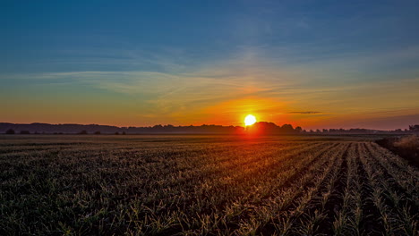 Orange-colored-sun-rising-up-at-horizon-and-lighting-on-farm-field,time-lapse-4k