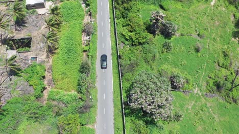 aerial-footage-of-a-black-luxury-car-on-a-concrete-road-driving-through-greenery-and-few-buildings,-landscape,-empty-roads,-coconut-trees-and-lush-deep-green,-long-straight-streets,-colorful-scenery