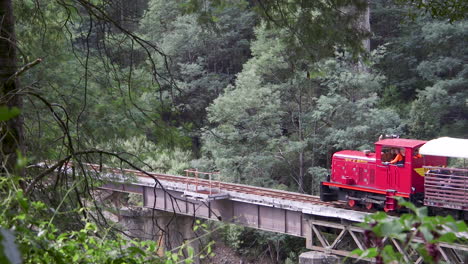 Rote-Fortbewegung-Zieht-Einen-Karren-Voller-Winkender-Touristen-über-Eine-Brücke