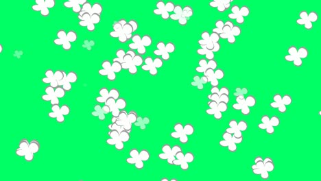 Flat-style-cartoon-dropped-down-Flower-animation-on-green-screen-4K