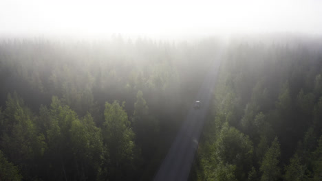 Car-driving-a-empty-road-in-the-middle-of-forest-in-a-foggy-landscape
