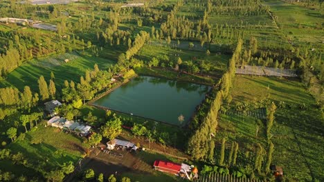 Abwärtsflug-Der-Drohne-über-Die-Felder-Und-Einen-Künstlichen-See-Mitten-In-Den-Plantagen,-Der-Regenwasser-Für-Landwirtschaftliche-Zwecke-In-Wonosobo-In-Zentraljava,-Indonesien,-Sammelt