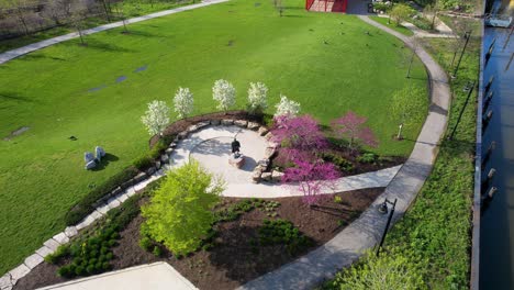 Spring-Trees-Blooming-In-Urban-City-Park-Drone