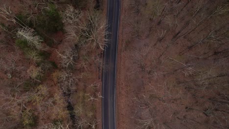 Aerial-drone-video-footage-top-down-view-of-a-autumn-tree-canopy-and-dirt-road-adjacent-to-a-stream-in-the-Appalachian-mountains