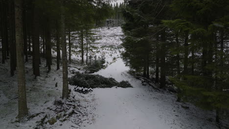 Drone-Aéreo-Empuja-A-Través-De-La-Plantación-De-árboles-De-Navidad,-Montañas-Cubiertas-De-Nieve,-Invierno-En-Noruega