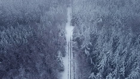 Fly-Over-Snow-Covered-Road-Between-Dense-Forest-Woods-Against-Foggy-Sky
