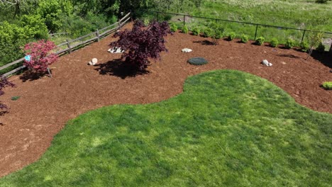 Orbiting-aerial-of-a-landscaped-backyard-with-a-fresh-layer-of-bark