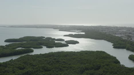 Vista-Aérea-Sobre-La-Selva-De-Manglares-En-Yucatán-México-Cerca-De-Puerto-Progreso