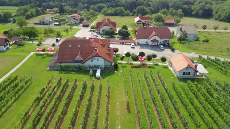 Eine-Luftaufnahme-Von-Weingütern-In-Slowenien-In-4k