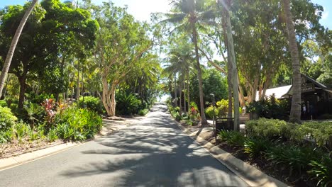 Driving-on-Hamilton-Island-Australia-north-Queensland-with-the-buggy-on-narrow-street-going-past-palm-streets-with-sun-shining-through-trees-tropical-hot-weather