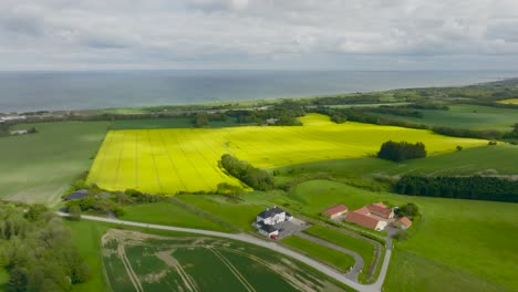 Aerial-view-of-europien-countryside-landscape,-in-the-middle-of-a-green-fields-farmers-growing-a-large-yellow-blooming-oilseeds