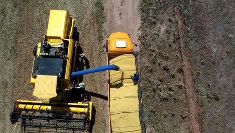 Combine-harvester-offloading-soybeans-gathered-from-deforested-farmland-in-the-Brazilian-savannah---aerial-view