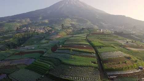 Aerial-Trucking-Von-Wunderschönen-Gemüseplantagen-Und-Mount-Sumbing-Im-Hintergrund---Sonniger-Tag-In-Zentral-Java,-Indonesien
