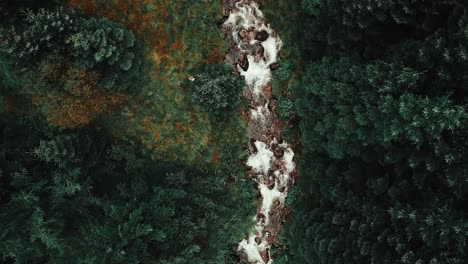 Beruhigender-Fluss,-Der-Durch-Einen-Wald-Fließt,-4K-Drohne