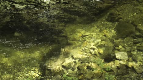 Im-Sommer-Fließt-Das-Wasser-In-Einen-Klaren,-Erfrischenden-Bach