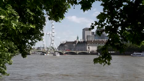 County-Hall-in-London-and-Westminster-Bridge-over-River-Thames-Seen-Through-Tree-Branches-On-27-May-2022