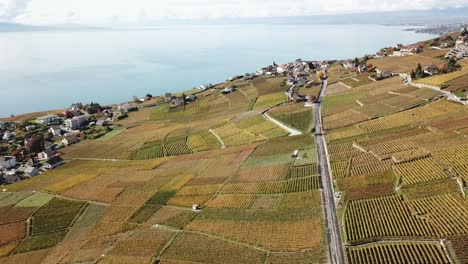 Drone-aerial-view-of-Lavaux-vineyards-during-autumn,-small-village-and-the-huge-geneva-lake