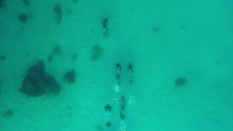 Grupo-De-Buzos-Nadando-Bajo-El-Agua-En-Aguas-Prístinas-Del-Océano-Azul,-Increíble-Aventura-De-Buceo