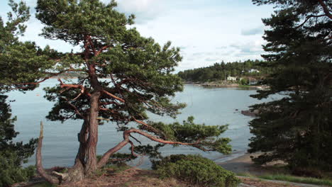 Increíble-Lapso-De-Tiempo-De-Una-Hermosa-Vista-Al-Mar-Que-Es-Visible-Desde-El-Hueco-De-Un-árbol-En-Noruega