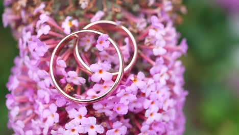 Wedding-rings-on-small-lilac-flowers