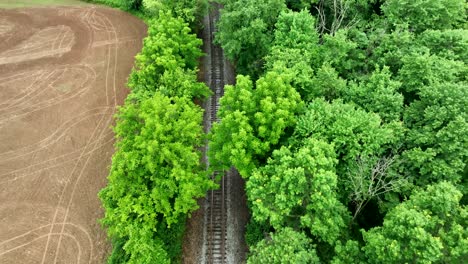 Aerial-view-of-a-railroad-track-running-along-the-edge-of-the-bright-green-forest-in-the-spring