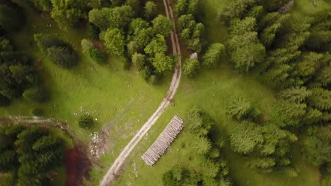 Drone-top-shot-of-a-natural-trail-next-to-a-fir-forest