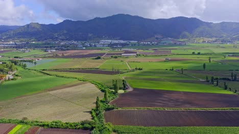 Top-view-over-fertile-farms-with-high-crop-yields-in-Constanza,-Dominican