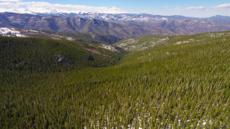 Establishing-Aerial-Footage-Flying-Over-Vast-Wide-Open-Pine-Tree-Forest-Mountains-In-Colorado-Rocky-Mountains-in-Mount-Evans