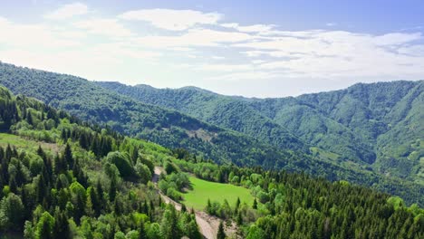 Aerial-View-Of-Small-Pasture-Among-Forests-In-Mountains
